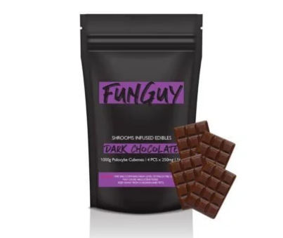 funguy2-3